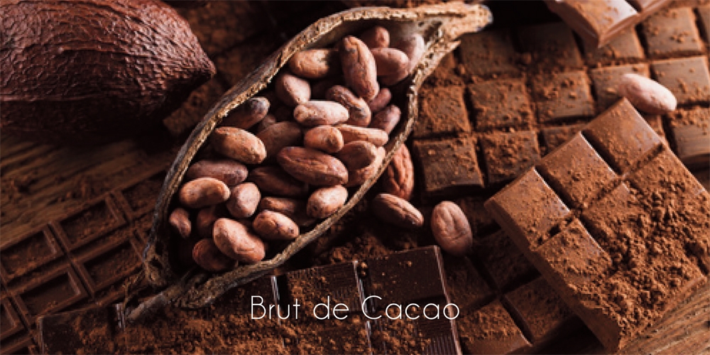 Les meilleurs Cacaos Choconly